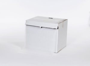 1/4" 24" x 85` Perfed 12" Foam Dispenser Pack