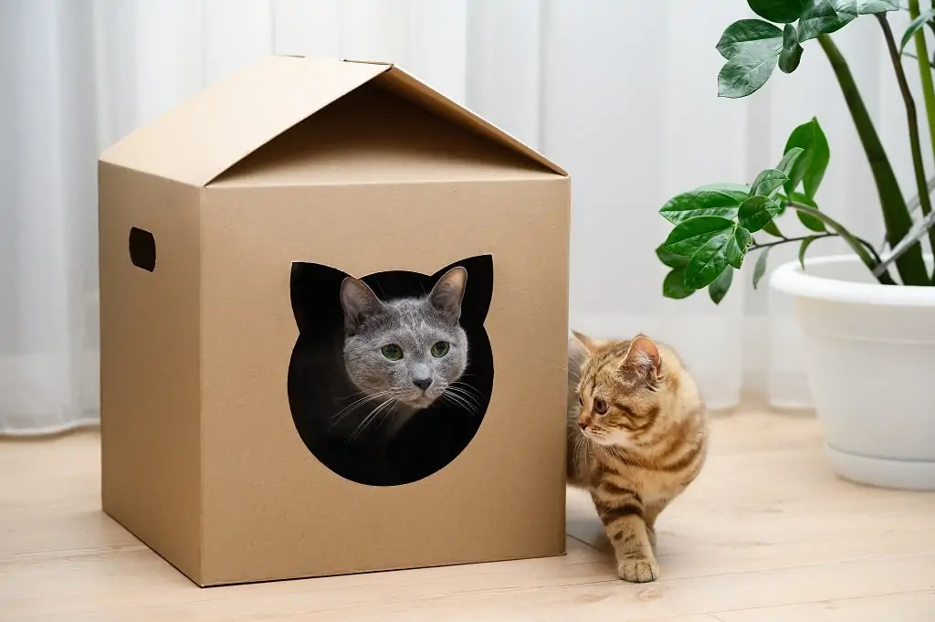 uses of cardboard box