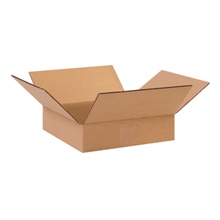 10 x 10 x 2" Flat Corrugated Boxes