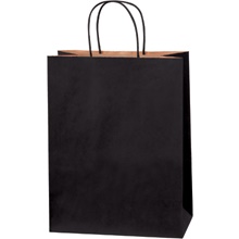 10 x 5 x 13" Black Tinted Shopping Bags
