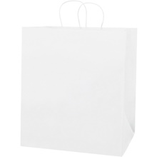 14 x 10 x 15 3/4" White Paper Shopping Bags