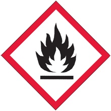 1 x 1" Pictogram - Flame Labels