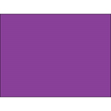 4 x 4" Purple Inventory Rectangle Labels