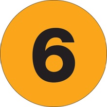 2" Circle - "6" (Fluorescent Orange) Number Labels