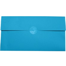 3/4" Clear Circle Mailing Labels