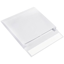 10 x 13 x 2" Expandable Ship-Lite® Envelopes