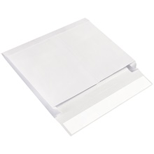 10 x 15 x 2" Expandable Ship-Lite® Envelopes