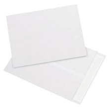 9 x 12" White Flat Tyvek® Envelopes