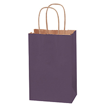 5 1/2 x 3 1/4 x 8 3/8" Purple Tinted Shopping Bags