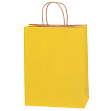 10 x 5 x 13" Yellow Tinted Shopping Bags