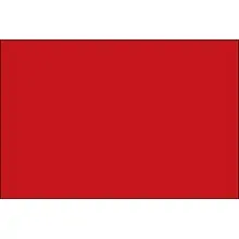 2 x 4" Red Inventory Rectangle Labels