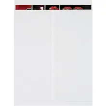 22 x 27" White Jumbo Envelopes
