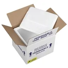 10 1/2" x 10 1/2" x 8" Overnite Insulated Shipper - 3/4" Foam Wall
