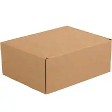 11 1/8 x 8 3/4 x 5" Kraft Deluxe Literature Mailer