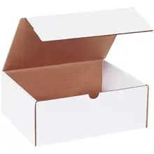 10 1/4 x 8 1/4 x 4" White Literature Mailer