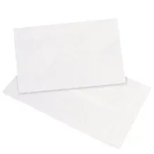 10 x 15" White Flat Tyvek® Envelopes