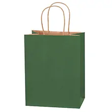8 x 4 1/2 x 10 1/4" Green Tinted Shopping Bags