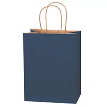 8 x 4 1/2 x 10 1/4" Navy Tinted Shopping Bags
