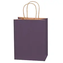 8 x 4 1/2 x 10 1/4" Purple Tinted Shopping Bags